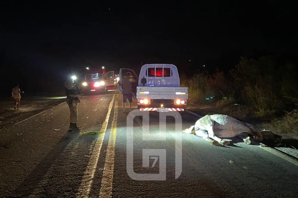 Motociclista perde a vida em acidente envolvendo animal na BR 259 em Resplendor